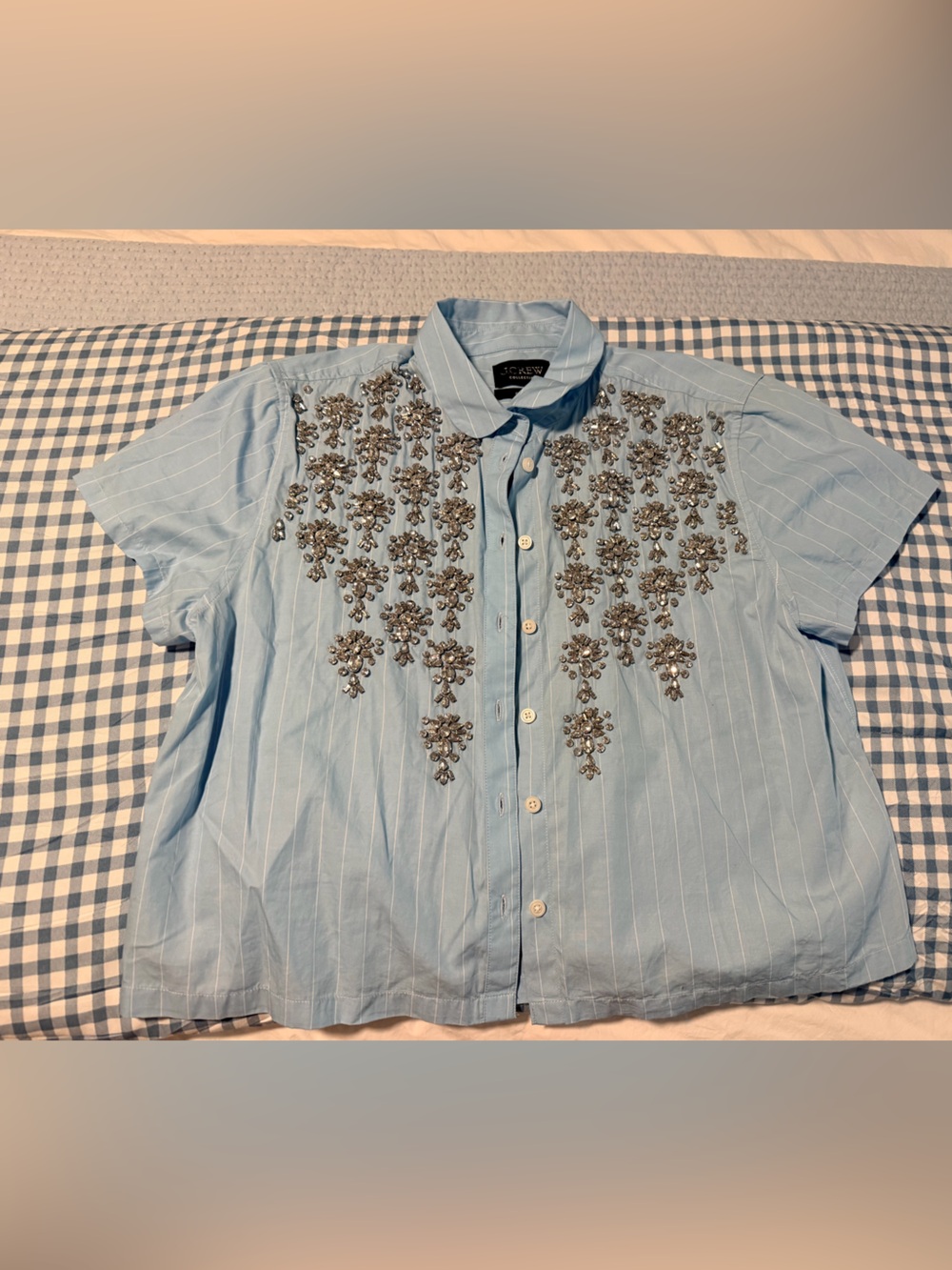 J. Crew Light Blue Pinstripe Embellished Button-Down - Picture 2 of 6